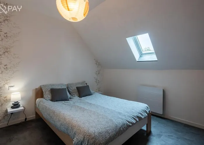Appartement Renove Tout Confort